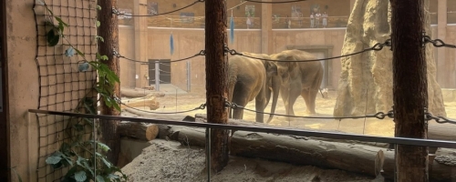 Wycieczka seniorów i osób z niepełnosprawnościami do Łodzi (26.06.2025)