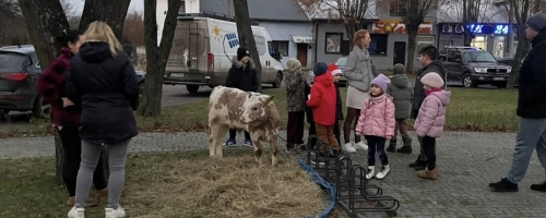 MIKOŁAJKI (07.12.2025)