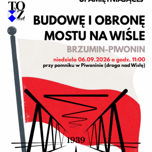 pokaż obrazek - 