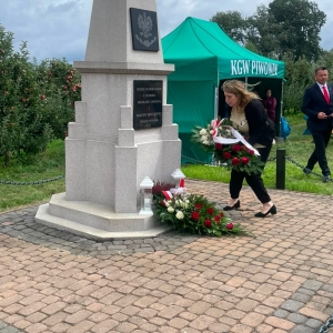pokaż obrazek - 